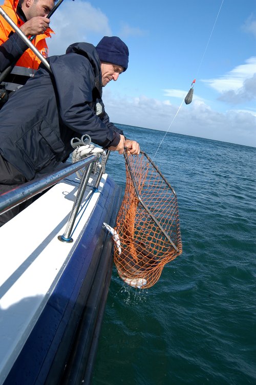 Hamish Currie with Bull Huss at the net Hamish Currie with Bull Huss at the net