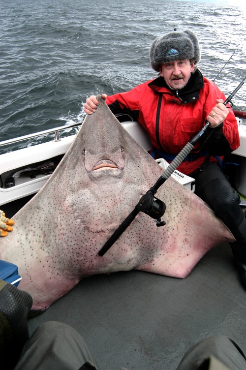 Phill, dinghy common Skate, 140 pounds