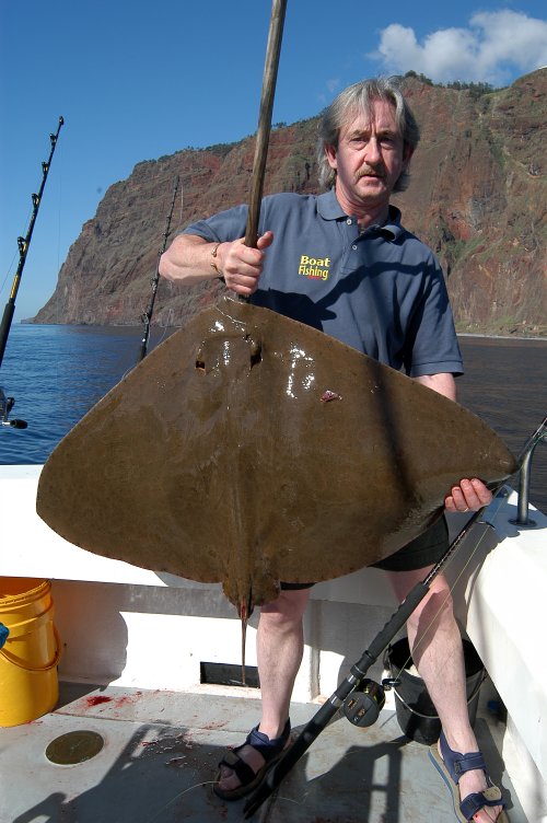 Butterfly Ray