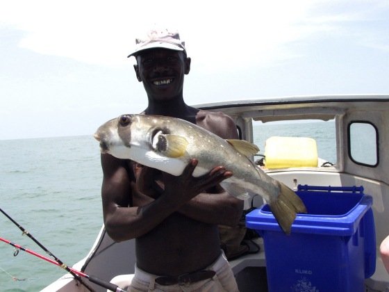 Cheif with a Butterfish Cheif with a Butterfish