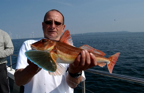 Mick Duff Gurnard on Gulp
