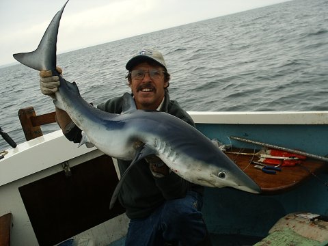 Graeme Pullen 45 lb Blue Shark