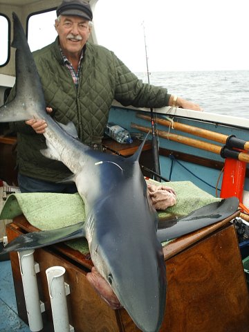 Brian Gardner 85 lb Blue Shark
