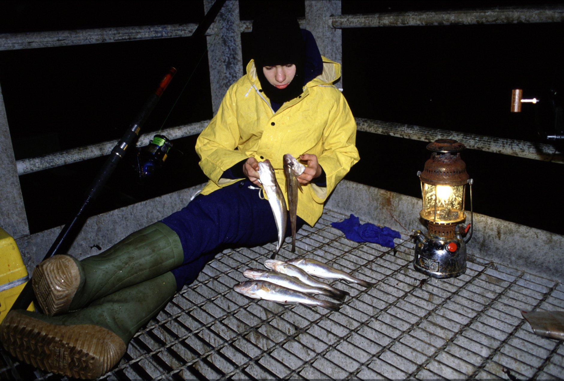 Whiting Fishing North Pier Jetty