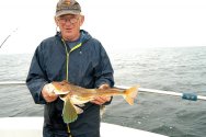Tub Gurnard Rhyl
