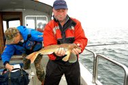 Rhyl Tub Gurnard