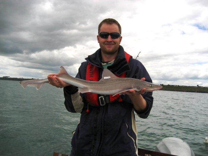 Ed Farrell Smoothhound