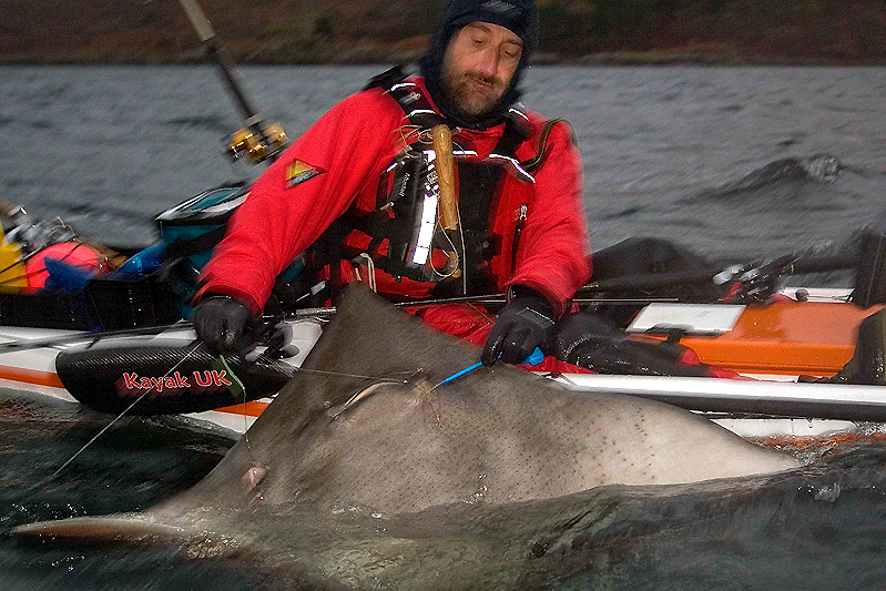 Camera-phone snap of Paul Spooner 137lb Kayak Skate Camera-phone snap of Paul Spooner 137lb Kayak Skate