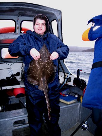 Helen Earwaker tiny Common Skate Helen Earwaker tiny Common Skate