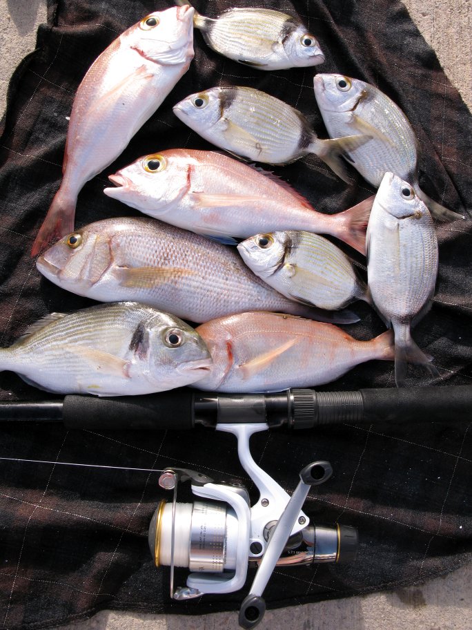 Offshore reef haul
