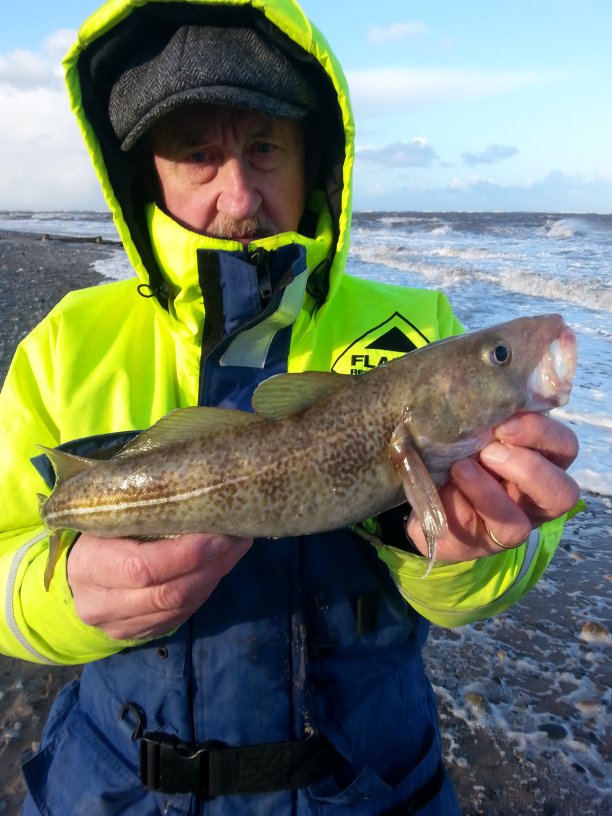 PW Rossall Cod